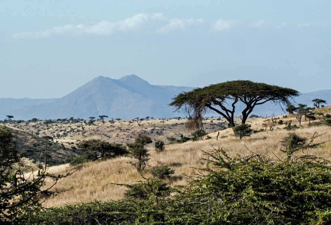 NGX identifies rutile near Malingunde