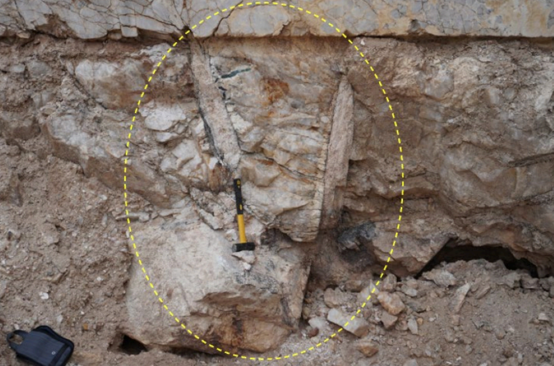 Oceana Lithium intercepts multiple thick pegmatites at Solonópole Lithium Project in Brazil