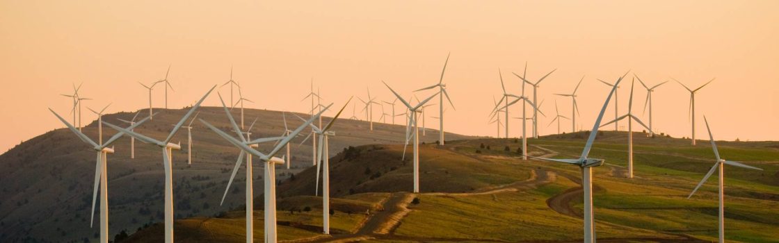 Develop increases Woodlawn resource by 40%