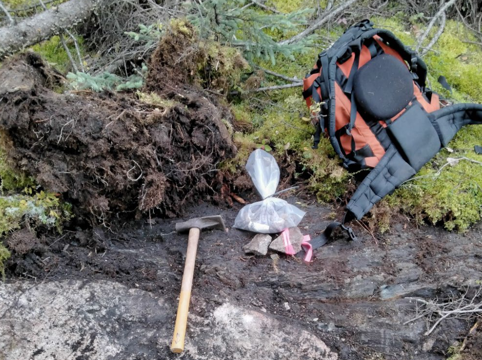 Pioneer uncovers pegmatites outcrops at Root Lake