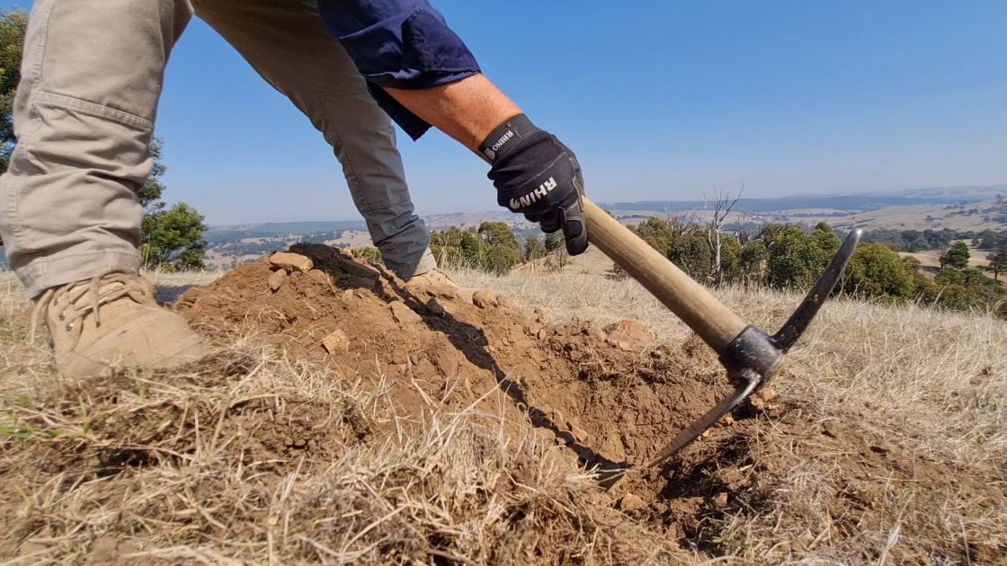 Southern Cross extends Sunday Creek footprint