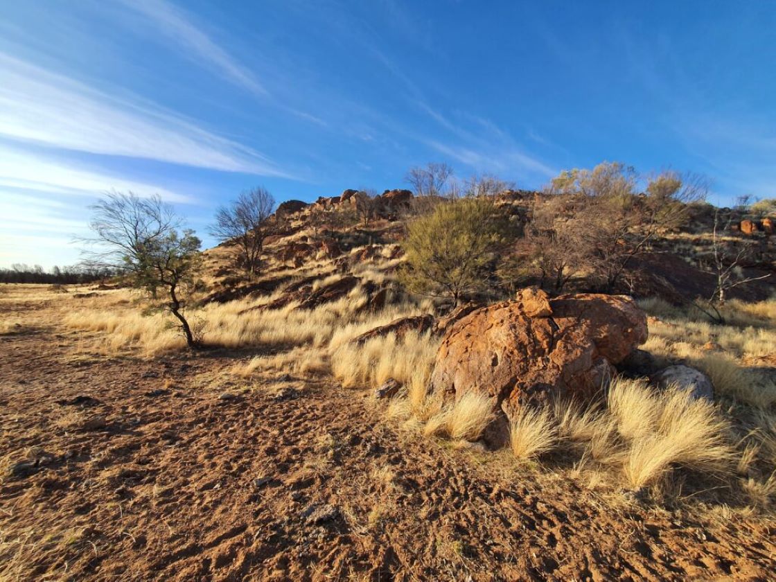Bubalus walks up to Yinnietharra lithium asset