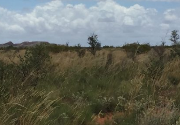 Flynn lines up future exploration for Parker Dome
