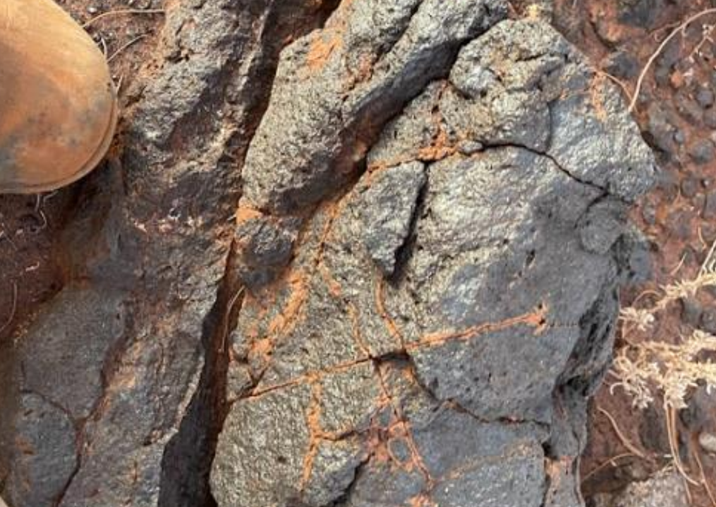 GCX Metals defines untested Dante anomalies