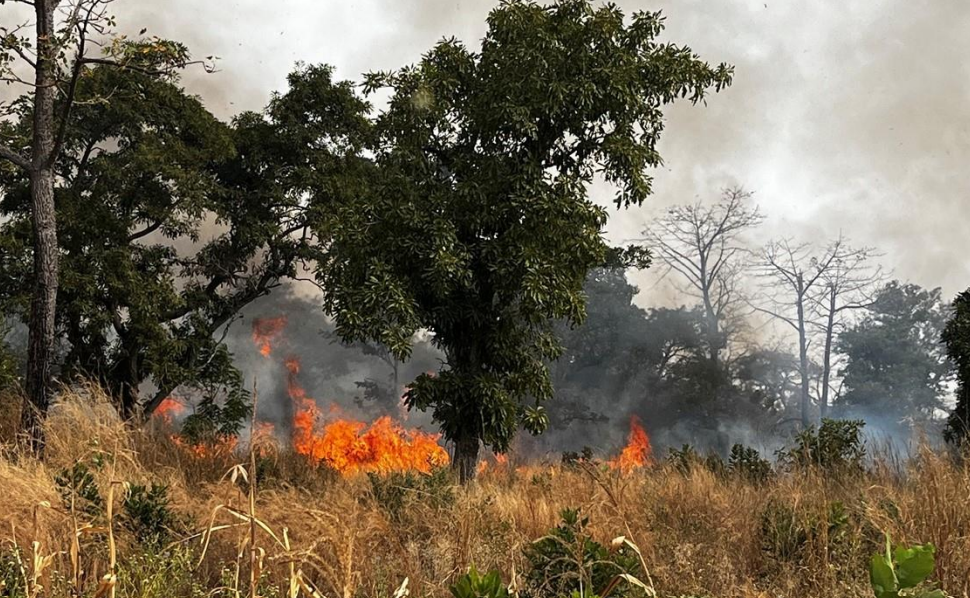 Haranga eyes MRE upgrade for Saraya  