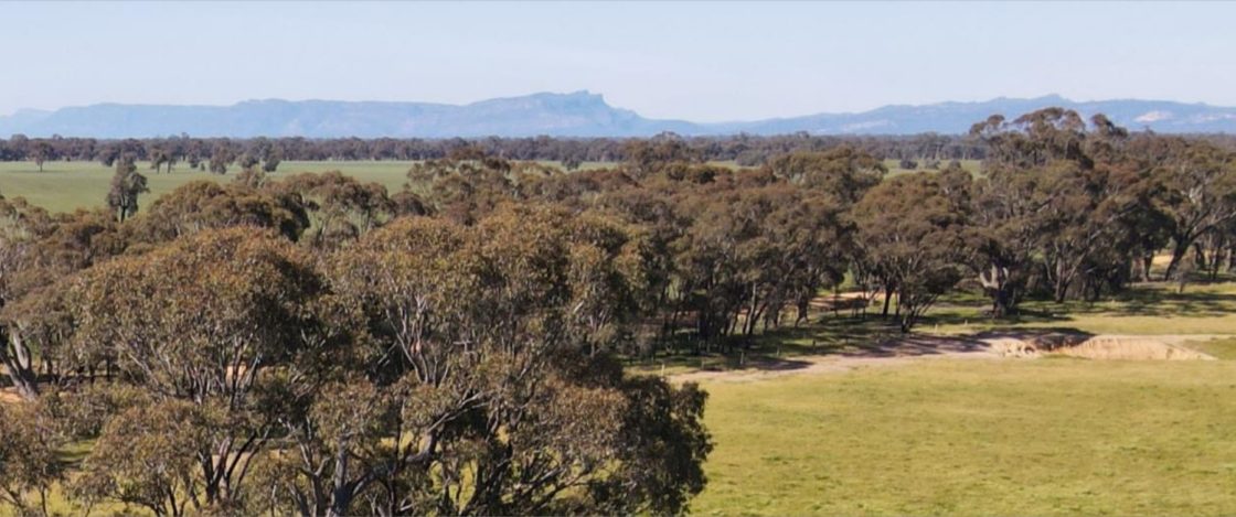 North Stawell eyes placement following entitlement offer shortfall