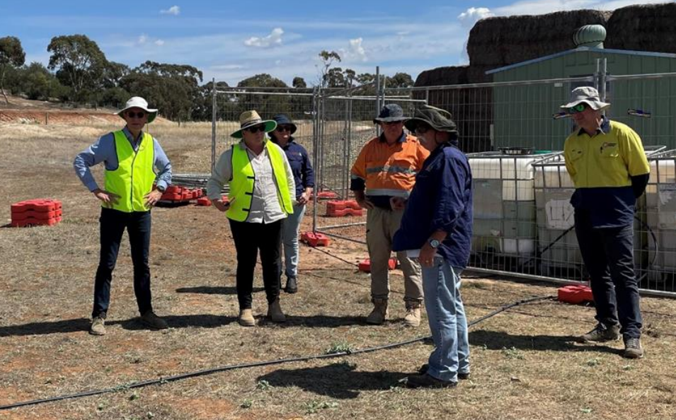 Alligator takes 7.8% bite of EnviroCopper