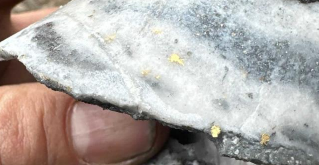 Southern Cross grasping Sunday Creek’s potential