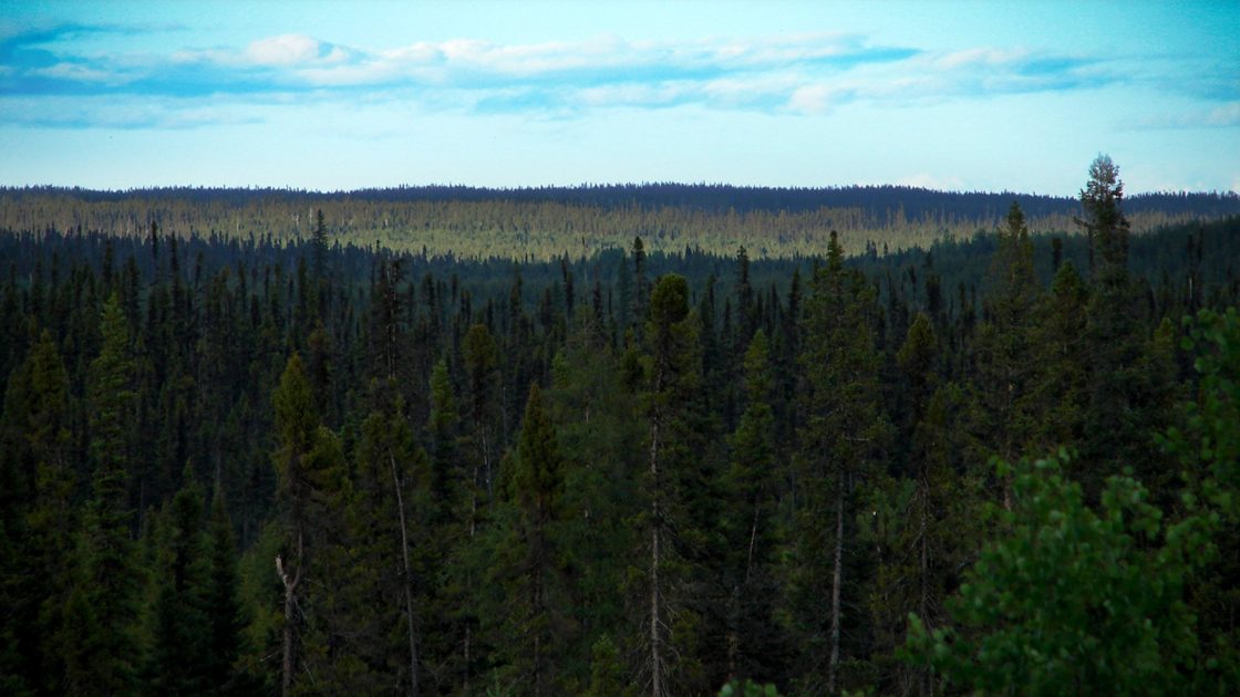 MTM Critical Metals showcases new REE zones at Pomme