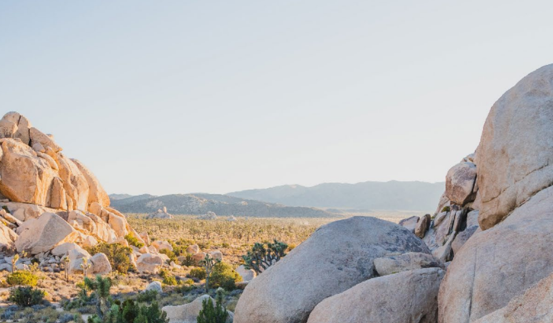 Arizona Lithium on Rhythm with Prairie 