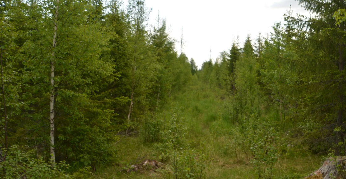 Aura assisting Sweden in climate-neutral quest