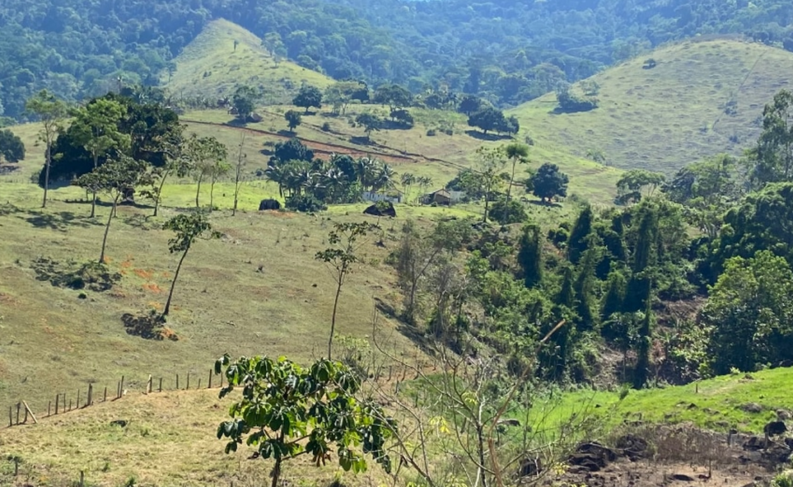 Equinox expands Brazilian critical minerals presence