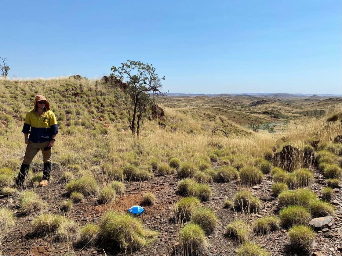 Infinity adds ounces to Central Goldfield resource