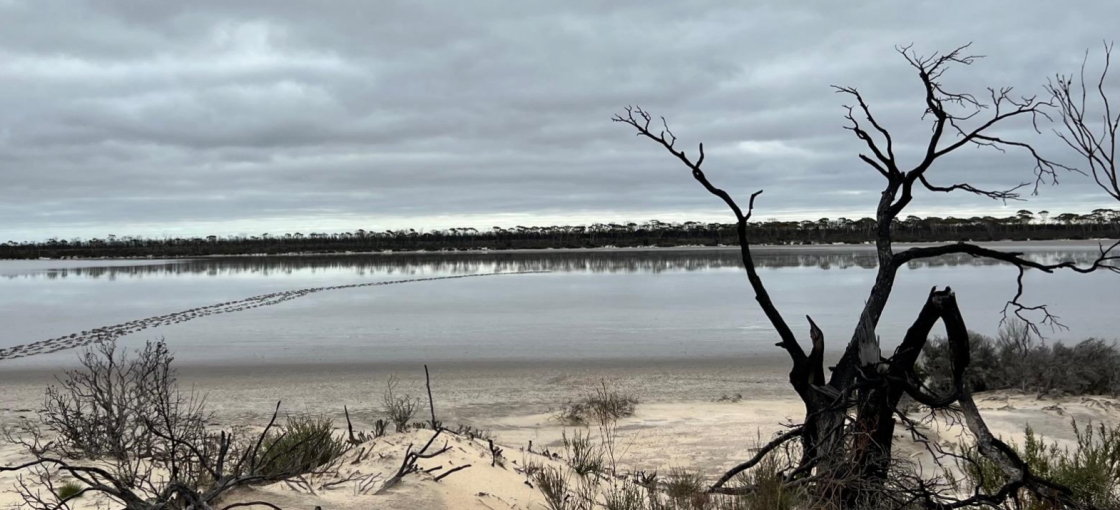 New Playa in HPA’s Impact on Lake Hope