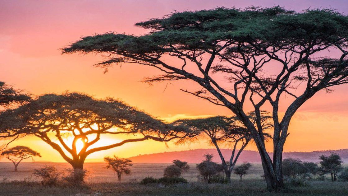 Resource Mining scoops up Tanzanian copper-gold projects
