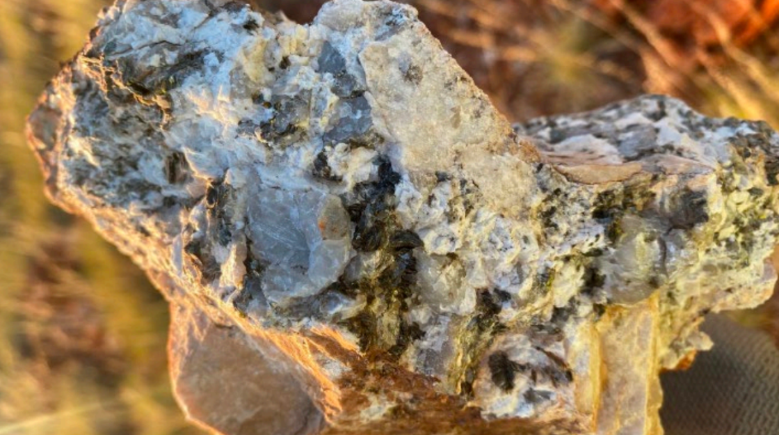 Tambourah Metals’ Russian Jack growing