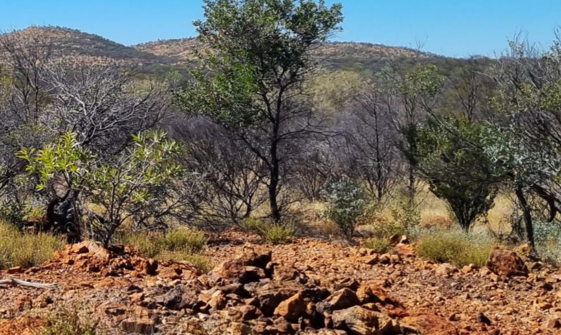 Litchfield Minerals begins trading on ASX