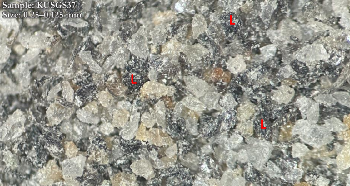Kuusisuo processing potential piques Great Northern interest