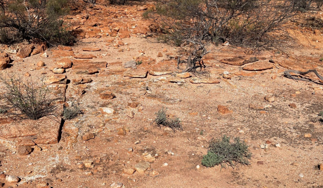 Infini kicks off fieldwork at Yeelirrie North