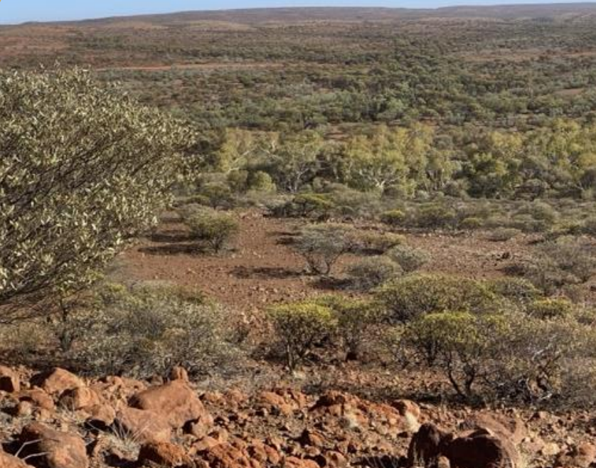 Miramar shares fly on WA exploration plan unveiling