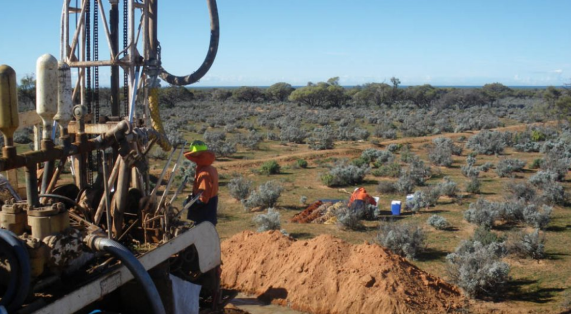 Alligator heads into Samphire field recovery trials