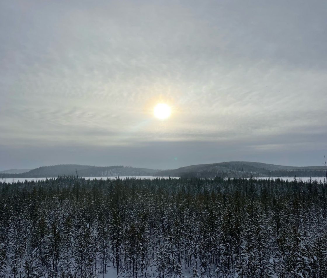 Terra Uranium seeks partner for Canadian drill-ready target pipeline