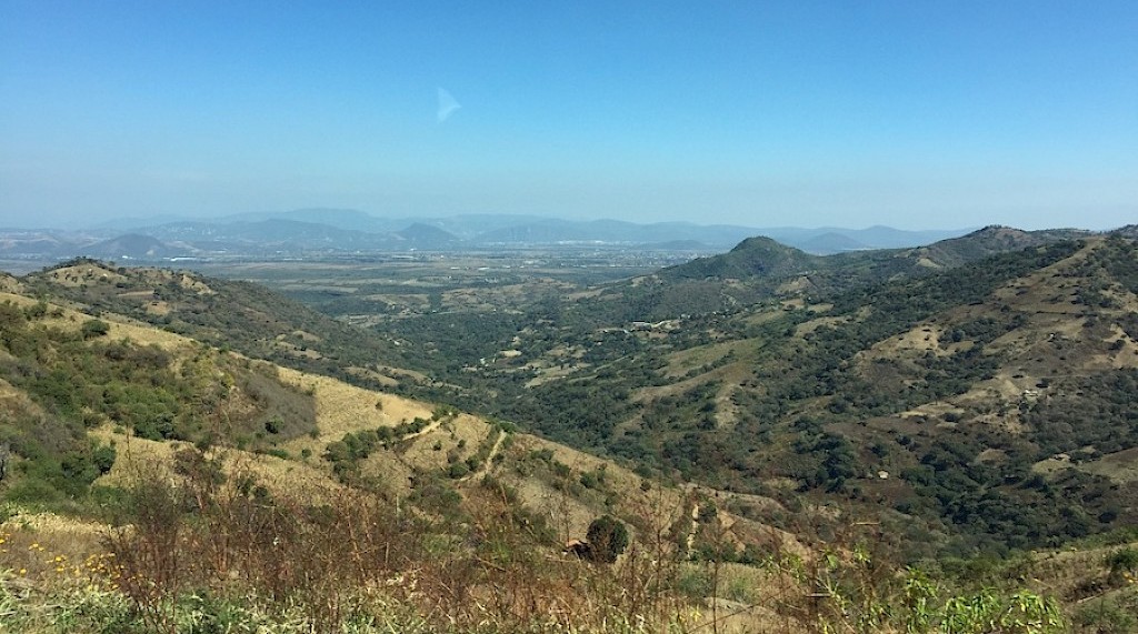 Impact Silver uncovers new silver vein at Guadalupe