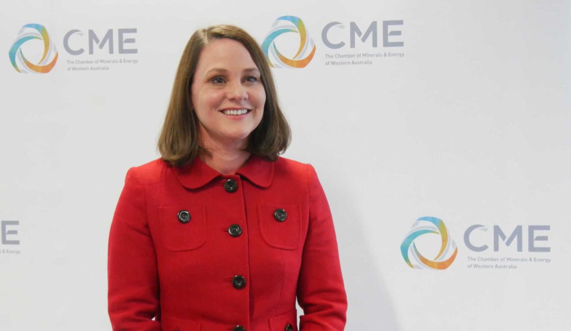 CMEWA’s Tomkinson takes on Agent General role