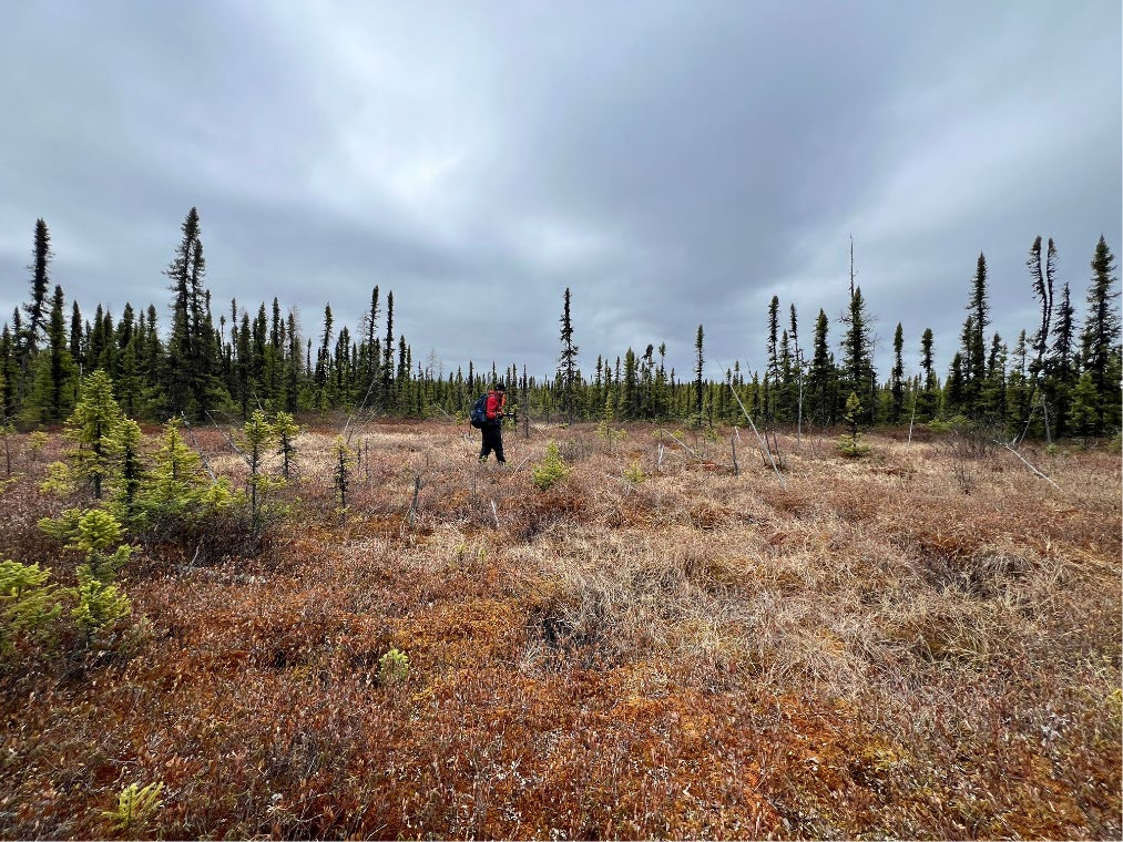 Thunderbird is go for hunt in Canada’s uranium-rich Athabasca Basin
