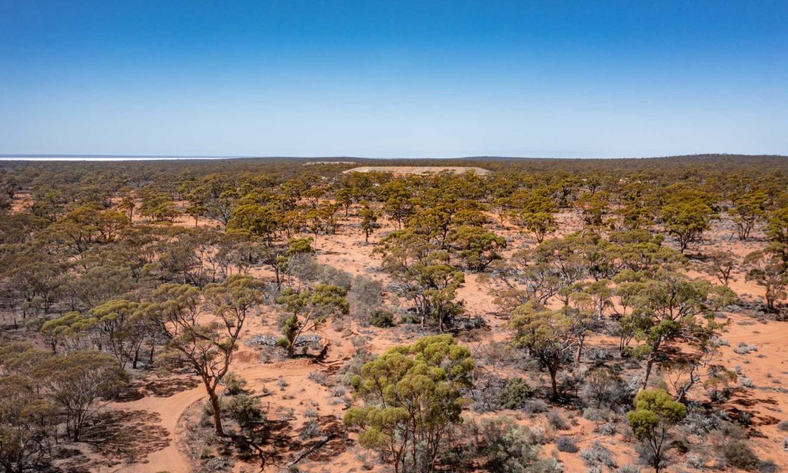 Torque boosts gold, lithium portfolio with dual option agreements