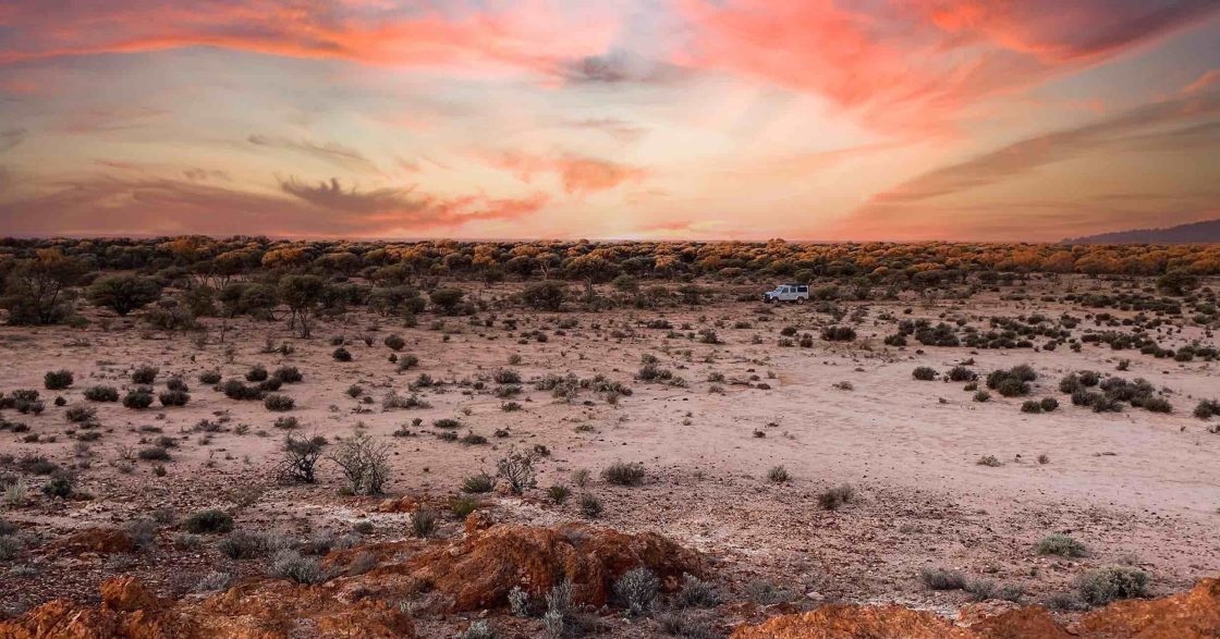 Sophisticated investor exercises options in Western Mines Group 