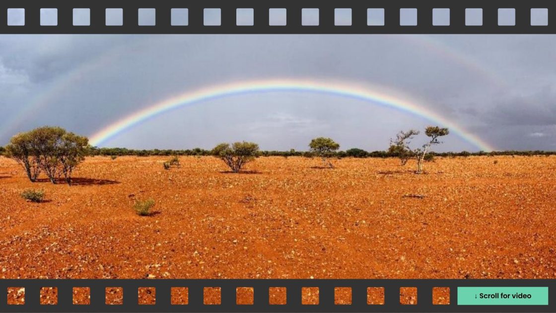 ‘Great’ high-grade intercept at Mulga Bill