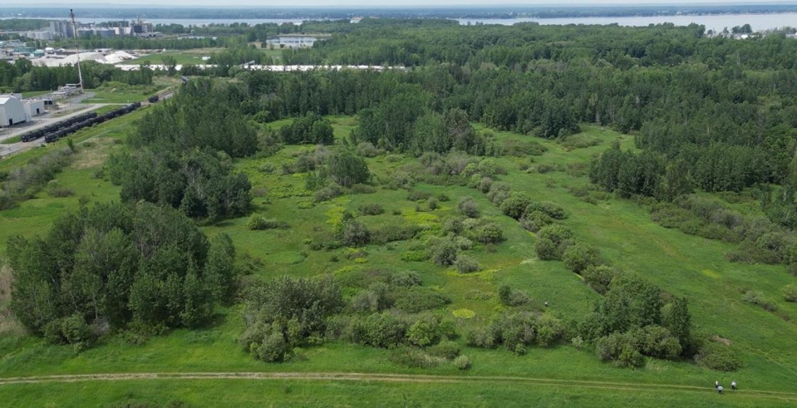 Lithium Universe over the moon with Bécancour progress