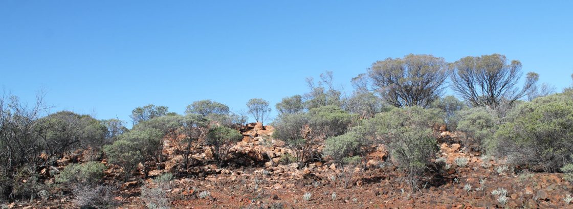 Metals Australia launches series of exploration programs