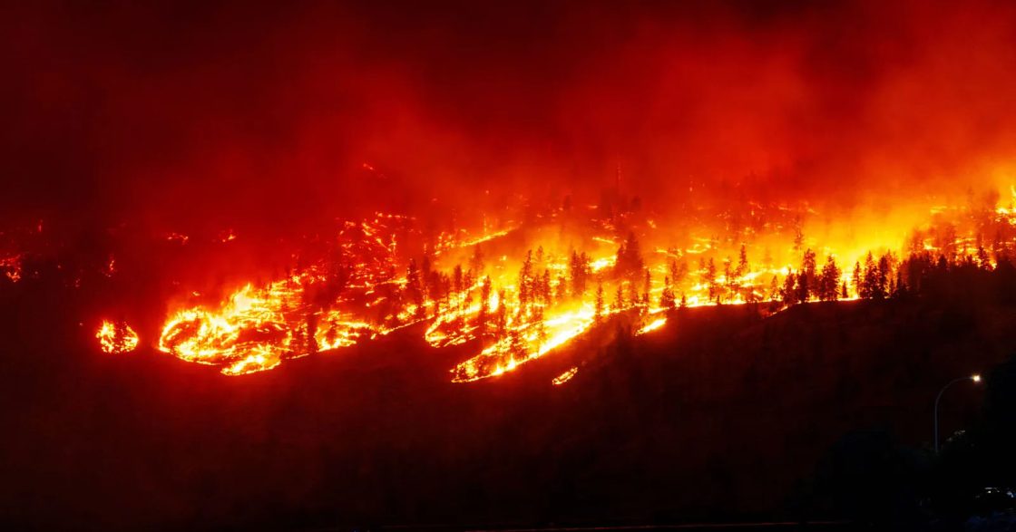 Canadian wildfires force miners to suspend operations 