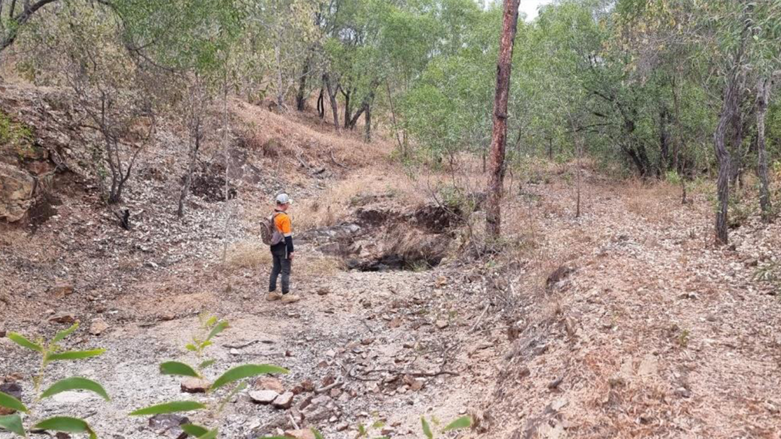 Iltani Resources Antimony Reward
