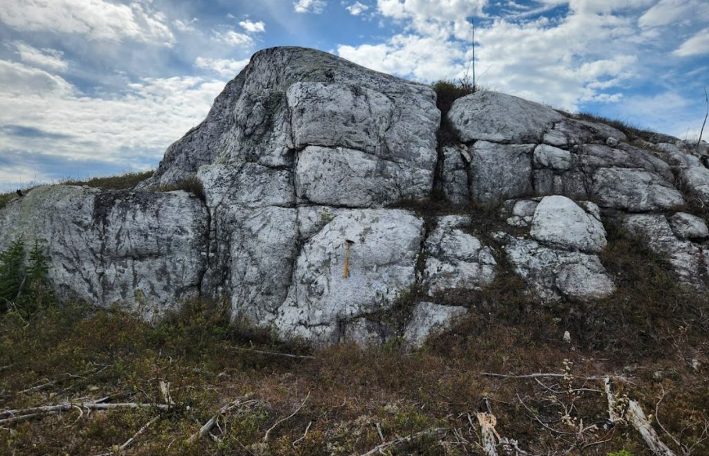 Q2 Metals lithium drilling Canada