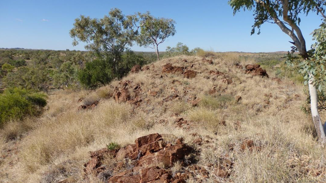 Pure Resources extends outcropping garnet trend by 4.5km