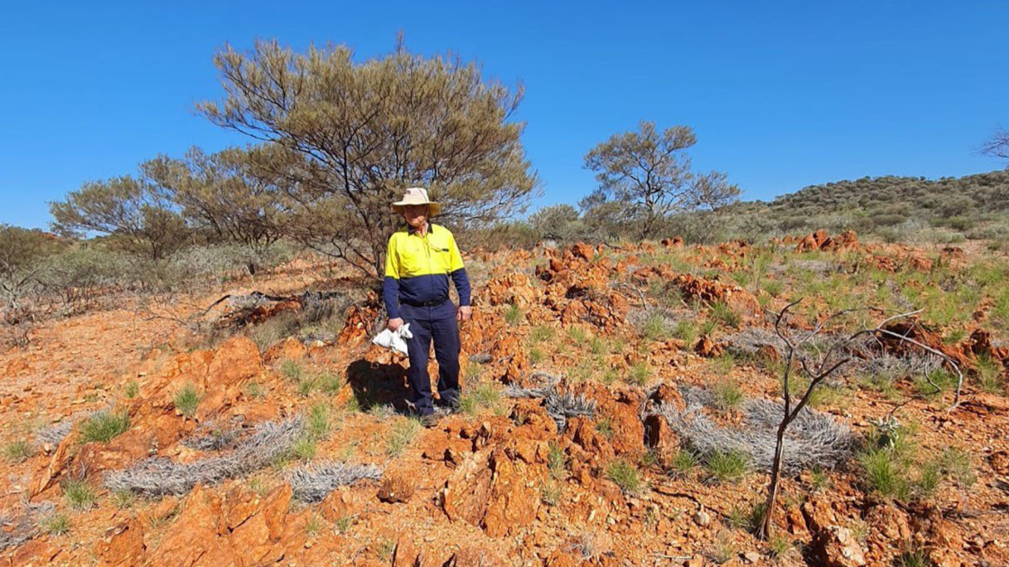 Western Yilgarn JV Peregrine Exploration