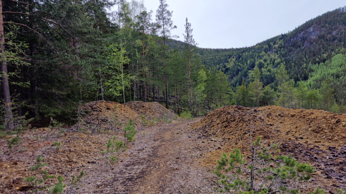 Vågå ‘promising’ for copper and zinc: Kuniko