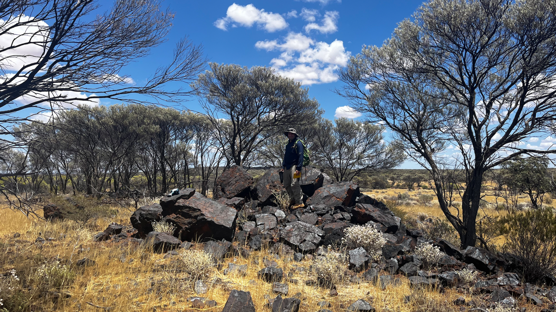 Viking Mines to wholly own Canegrass Battery Minerals Project
