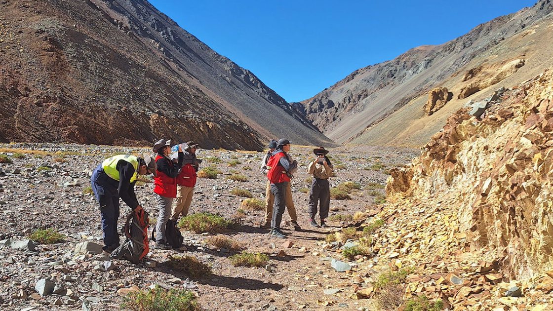 Belararox targeting TMT copper porphyry