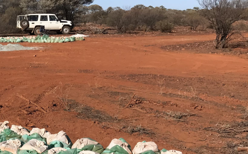 Empire building Yuinmery understanding as it awaits assays