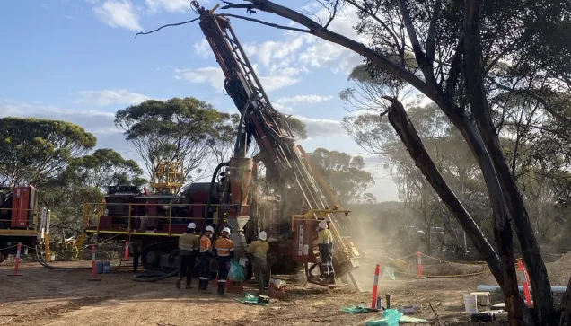 Medallion confirms consistency of mineralisation at Gem