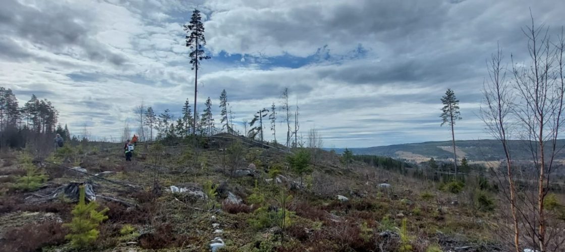 Ragnar makes strategic investment in High-Tech Metals