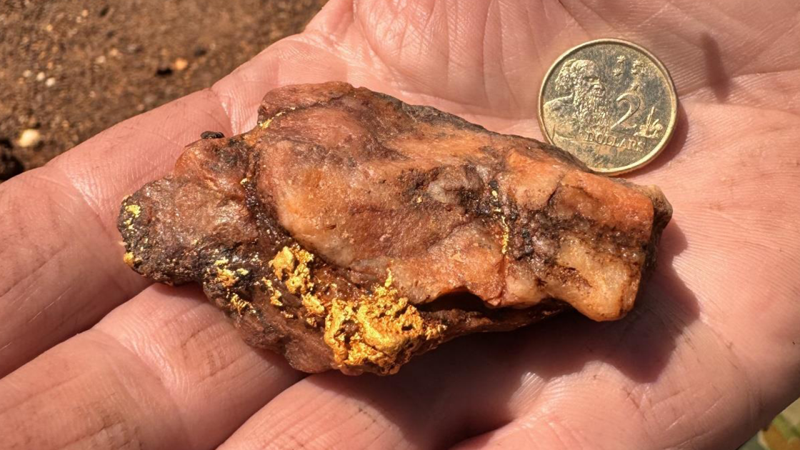 Panther Metals gold nuggets
