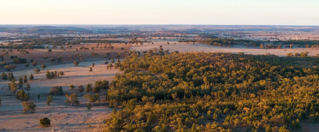 ASM Dubbo
