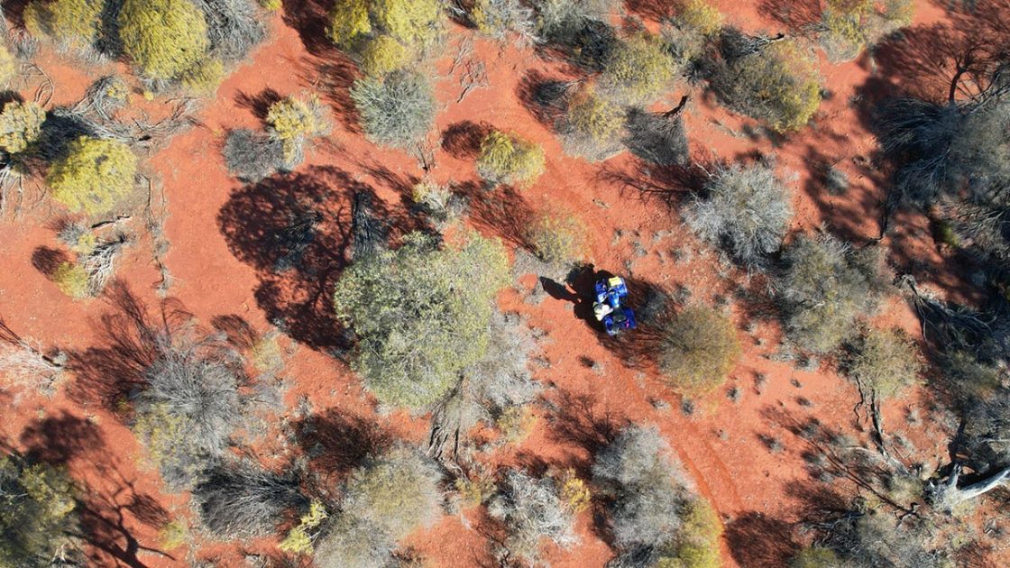 Forrestania records 222g/t gold rock chips at Bonnie Vale