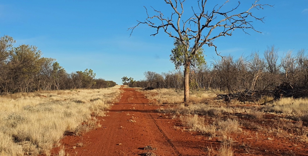 Bubalus works to secure land access for Nolans East