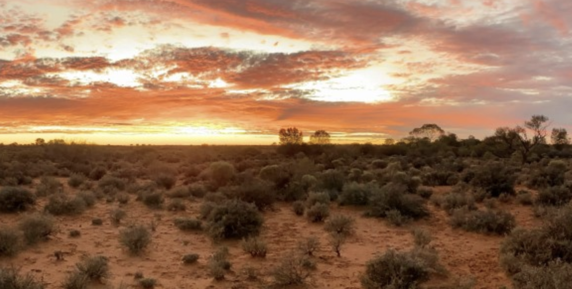 Edjudina Project WA